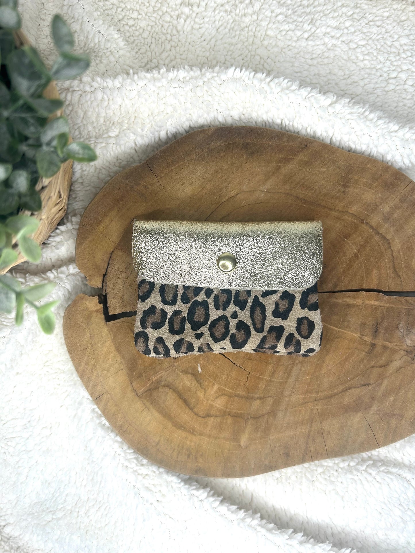 PETIT MONA - LÉOPARD